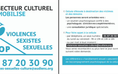Viol / Harcèlement sexuel / Violences sexistes sexuelles dans la culture