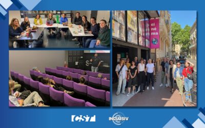 Succès à Toulouse pour les formations sur l’accessibilité aux salles de cinéma !