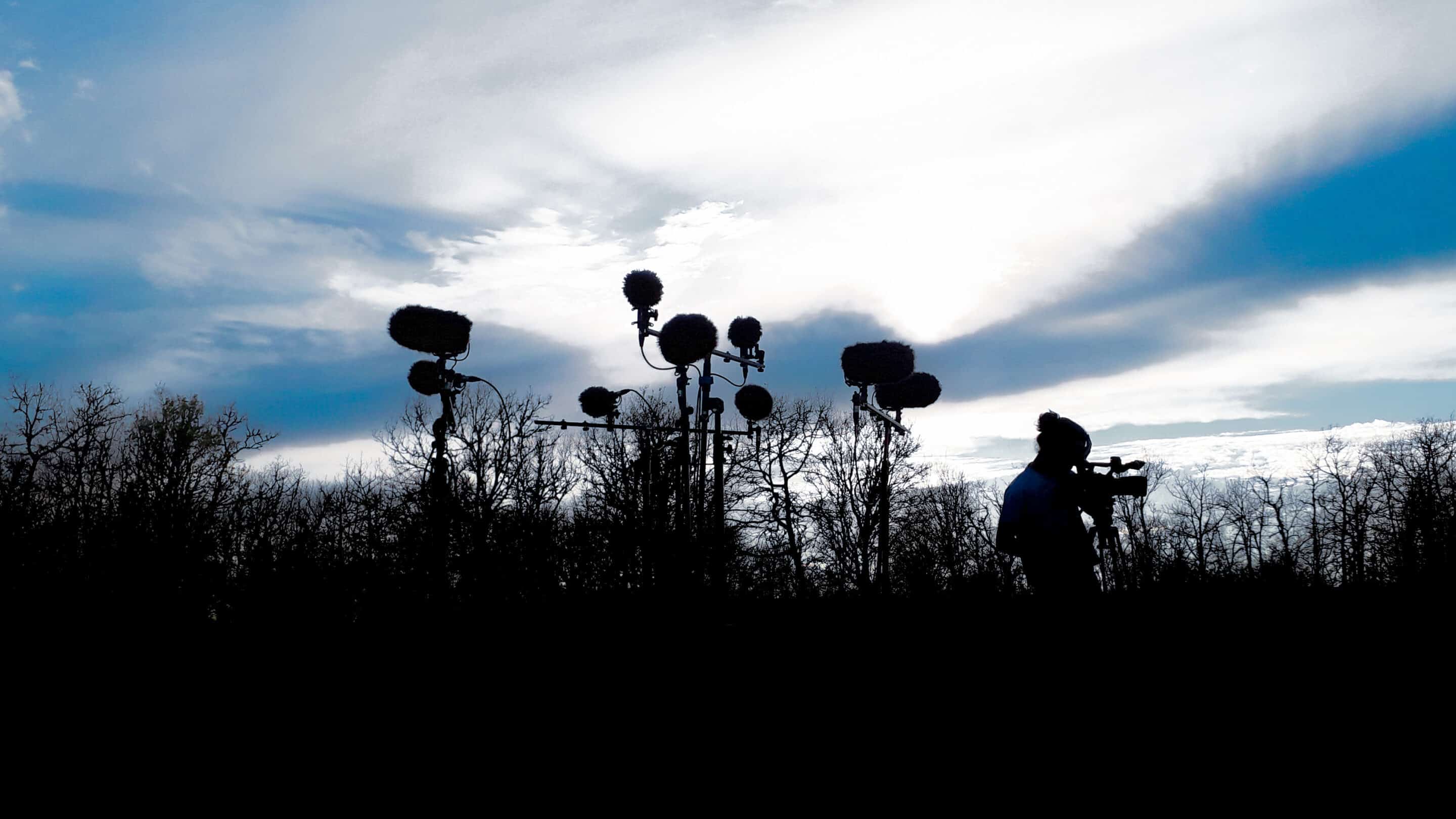 3B Arbre de prise de son muticanal pour l enregistrement d ambiances-2