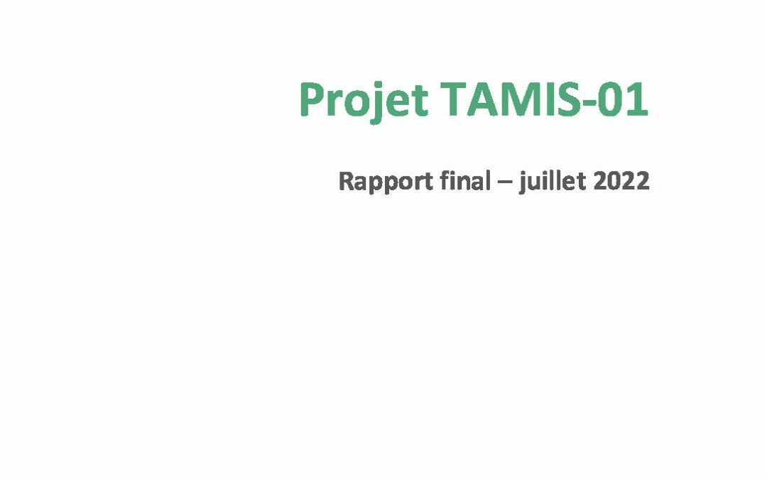 TAMIS-01-RapportFinal