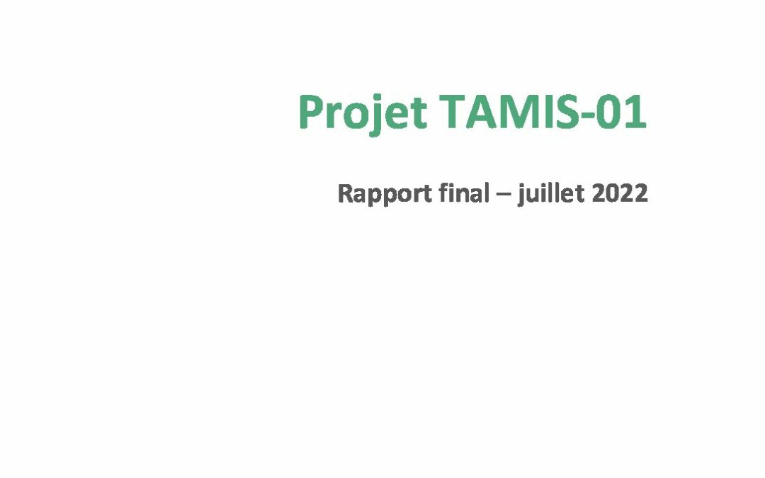 TAMIS-01-RapportFinal
